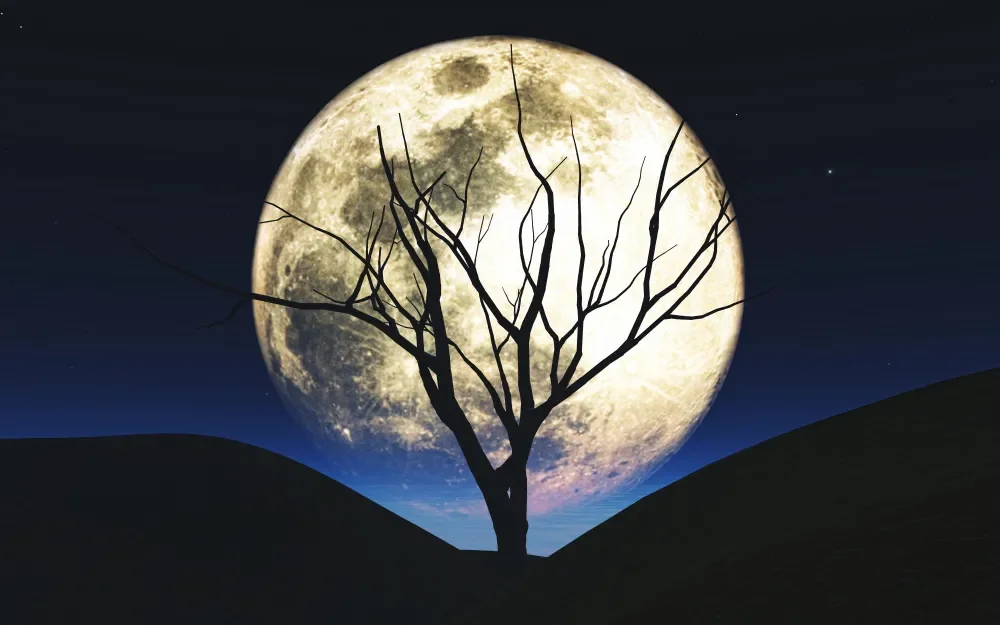 What is a Supermoon and When is the Next One?
