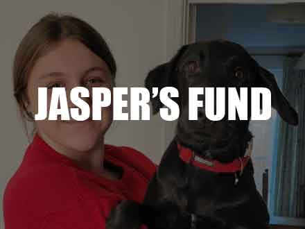 Jasper's fund