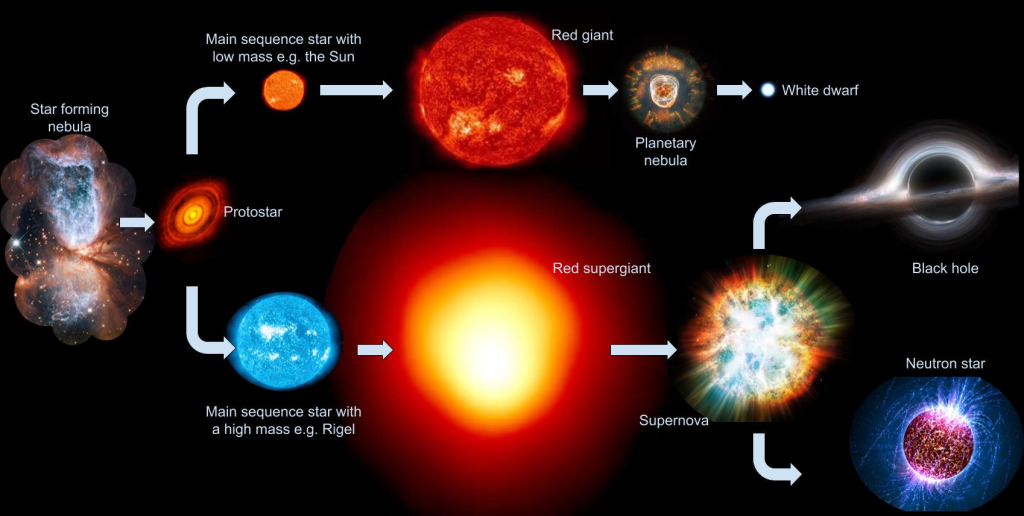A diagram showing the potential options for the life cycle of a star