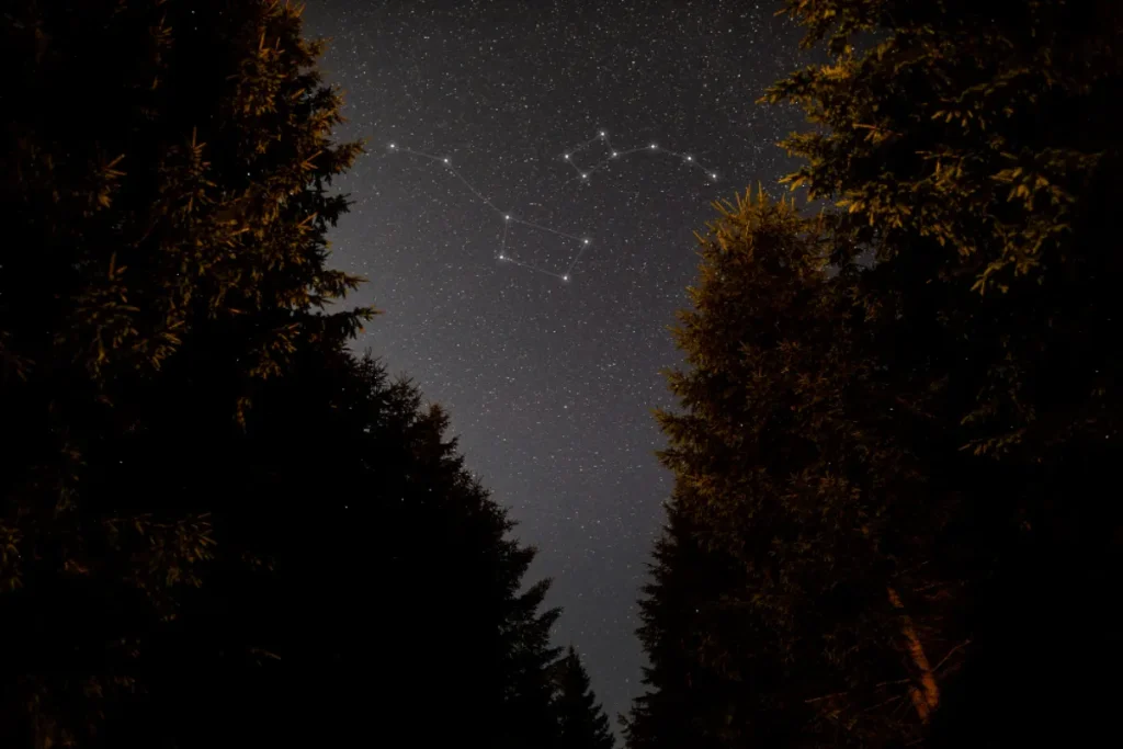 The Stars in the Plough Constellation