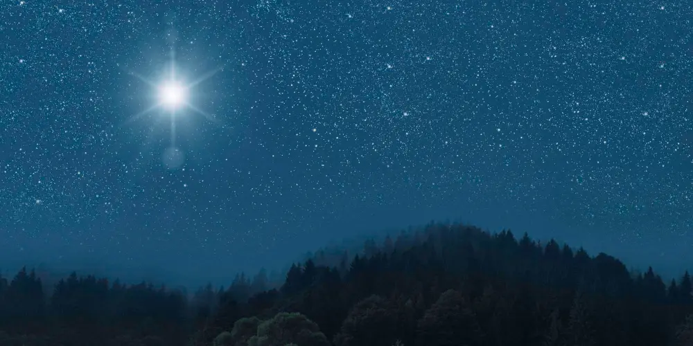 What Is The Brightest Star In The Sky?