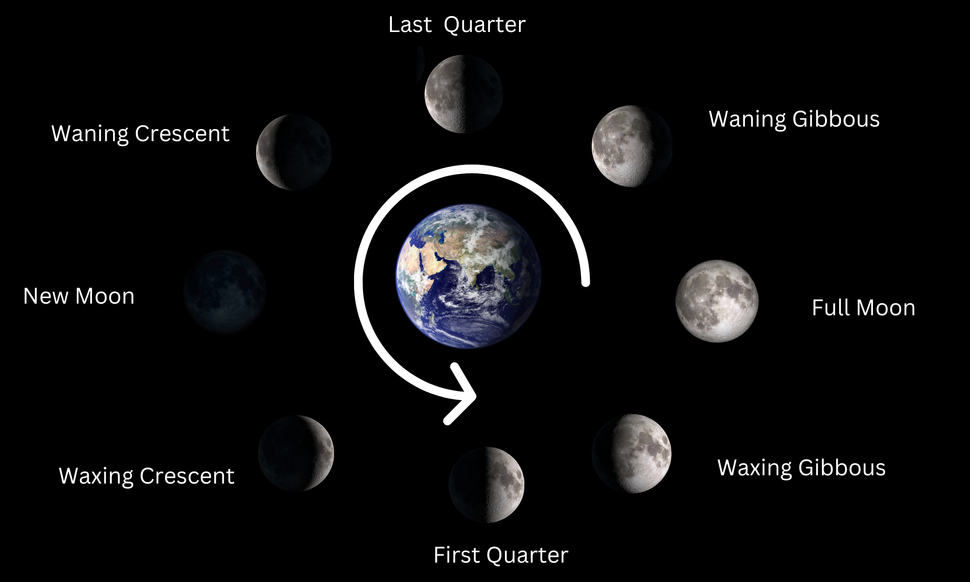 Illustration of the moon's changing phases as it orbits Earth